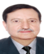 Prof. José A. S. Cavaleiro Prof. José A. S. Cavaleiro