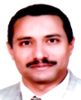 Prof. Mahmoud R. Hussein Prof. Mahmoud R. Hussein
